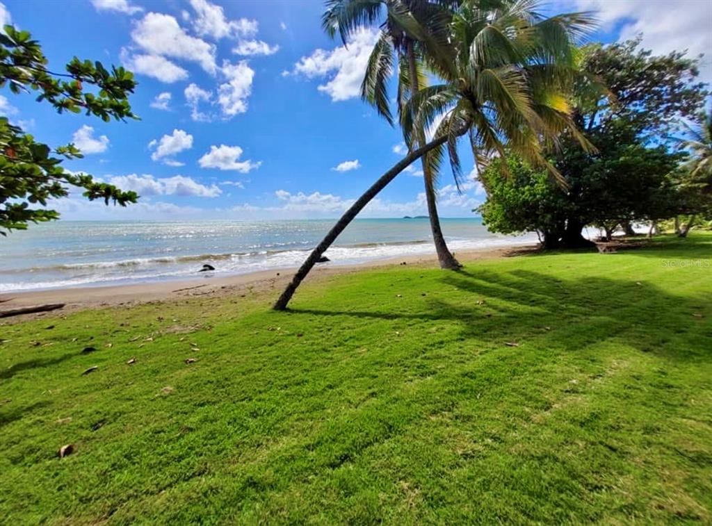 C210, Carr 3, Km 66.7 Cala De Hucares, Naguabo - 22