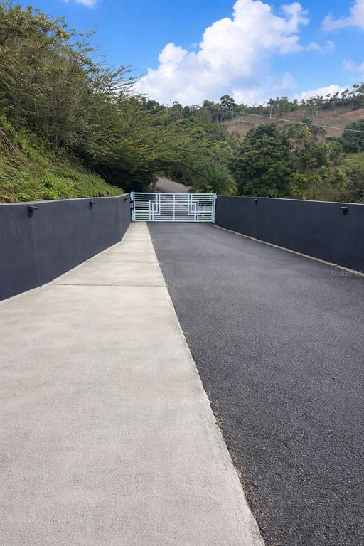 172, Rio Abajo, Cidra - 2