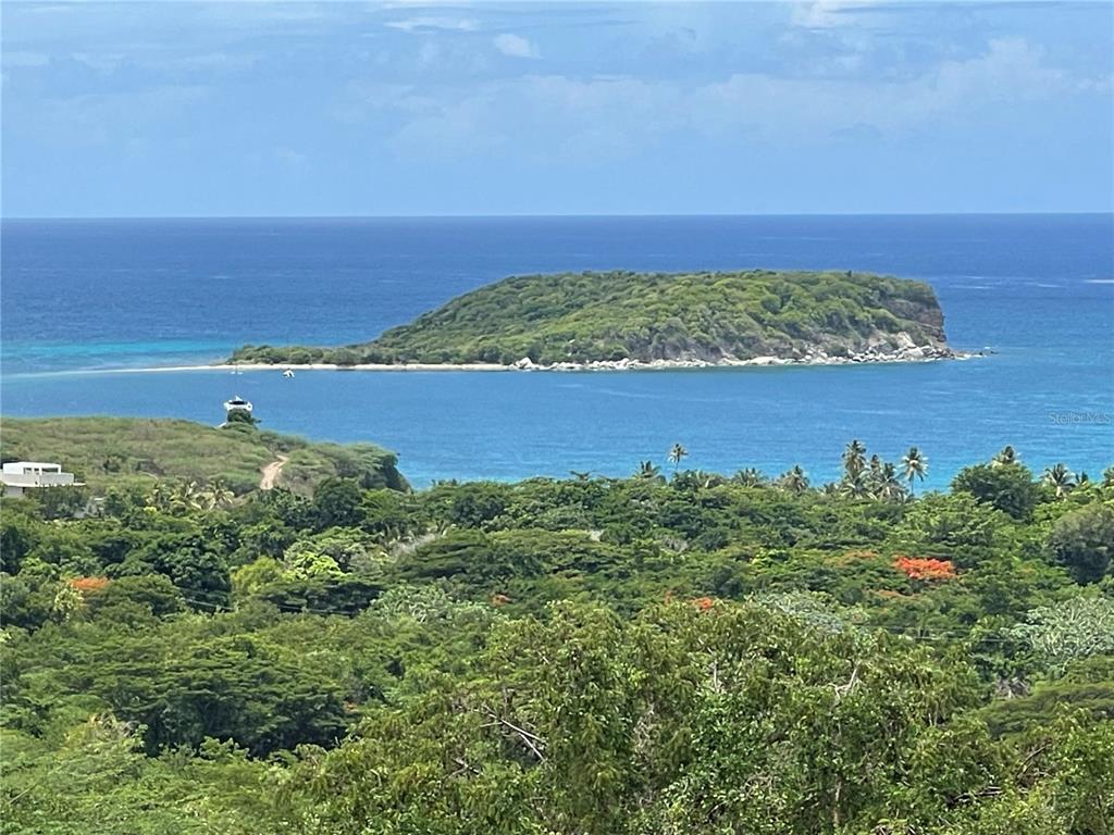 A-1, Finca Vieques, Vieques - 1
