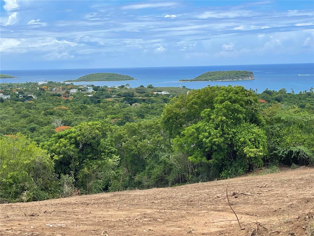 A-1, Finca Vieques, Vieques - 11