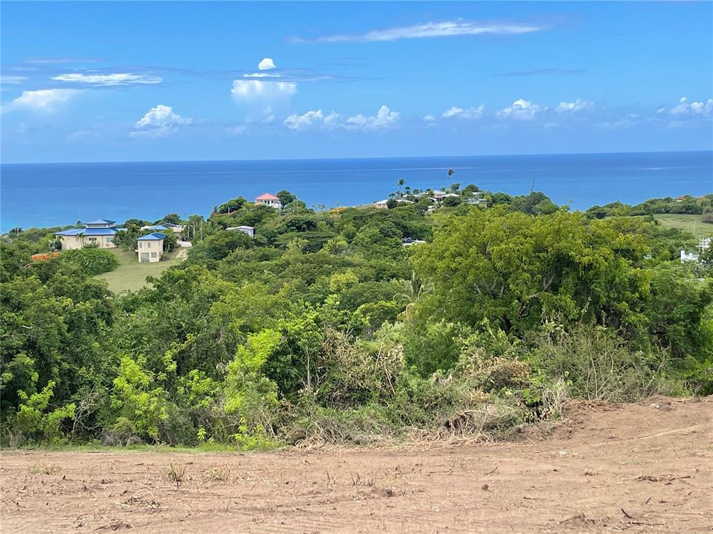 A-1, Finca Vieques, Vieques - 12