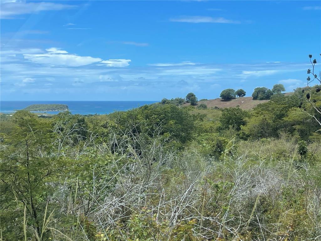 A-1, Finca Vieques, Vieques - 4
