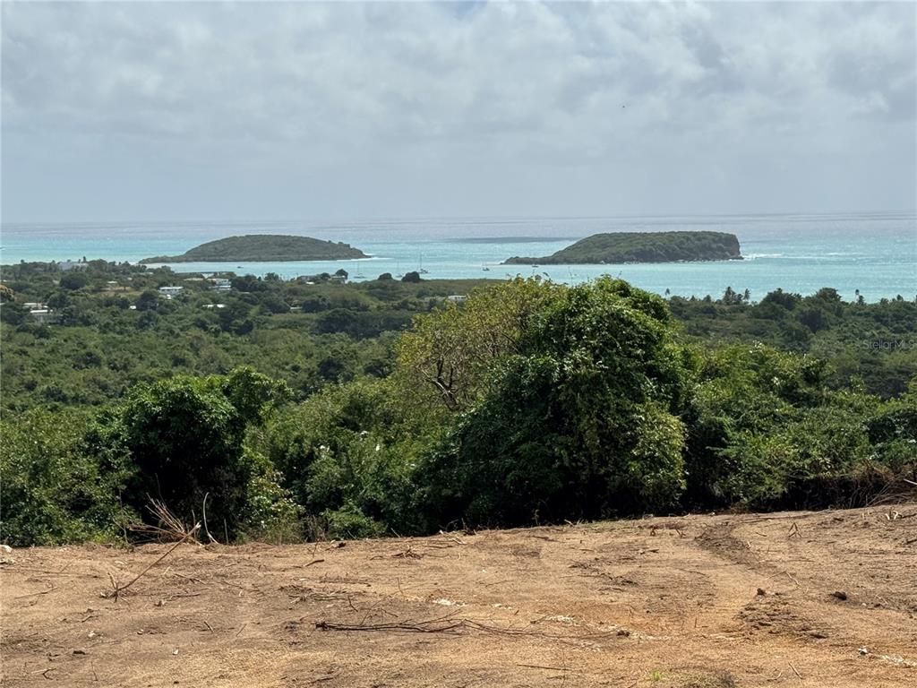 A-1, Finca Vieques, Vieques - 5