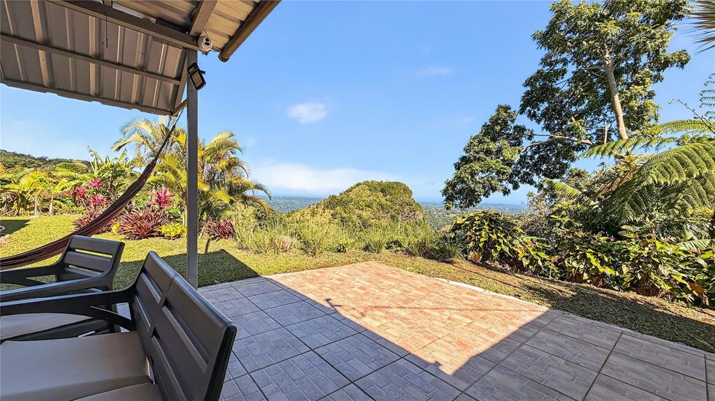Alturitas Cacao, Parcel B, Orocovis - 16