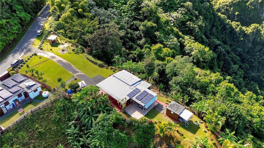 Alturitas Cacao, Parcel B, Orocovis - 3