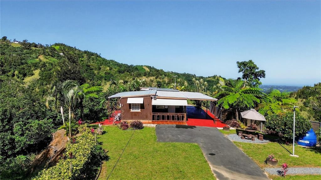 Alturitas Cacao, Parcel B, Orocovis - 4