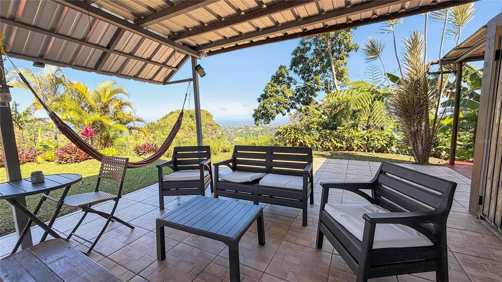 Alturitas Cacao, Parcel B, Orocovis - 5