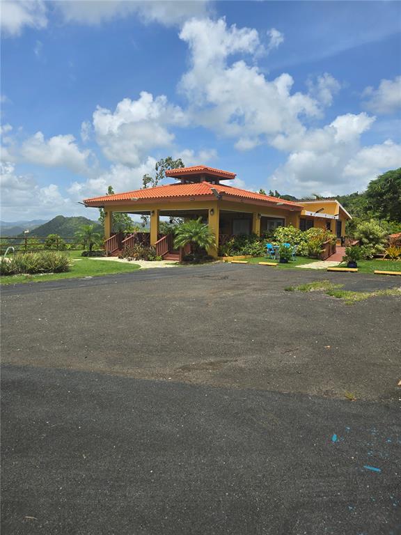 Bo Pulguillas, Carr. 723, Coamo - 1
