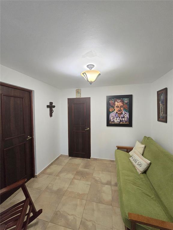 Bo Pulguillas, Carr. 723, Coamo - 11