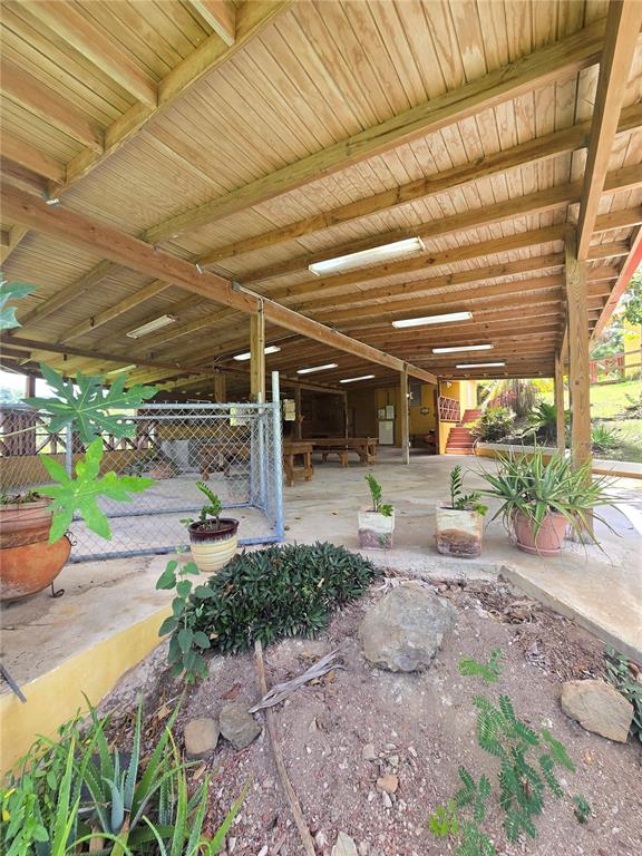 Bo Pulguillas, Carr. 723, Coamo - 14