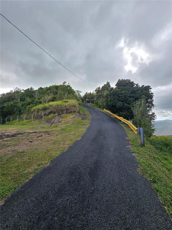 Bo Pulguillas, Carr. 723, Coamo - 15