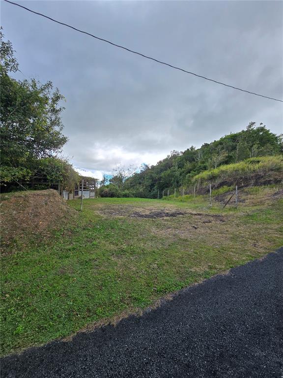 Bo Pulguillas, Carr. 723, Coamo - 16