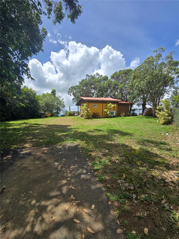 Bo Pulguillas, Carr. 723, Coamo - 17