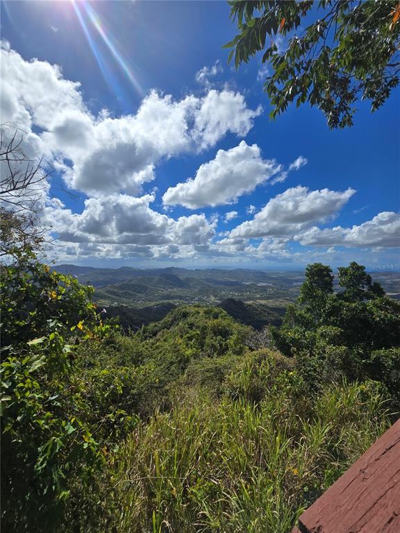 Bo Pulguillas, Carr. 723, Coamo - 3