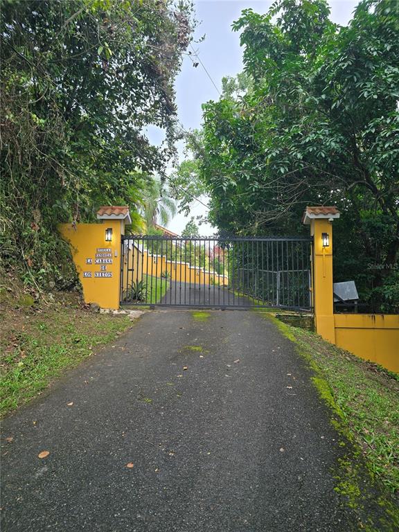 Bo Pulguillas, Carr. 723, Coamo - 4