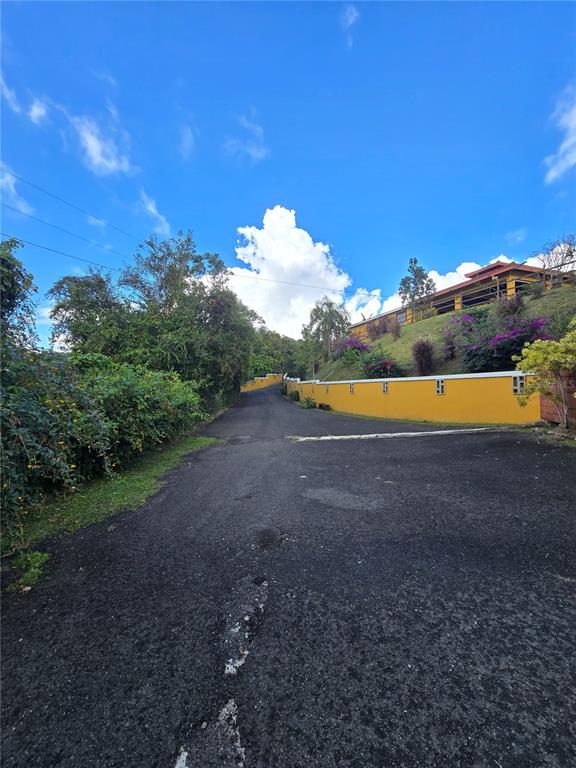 Bo Pulguillas, Carr. 723, Coamo - 5