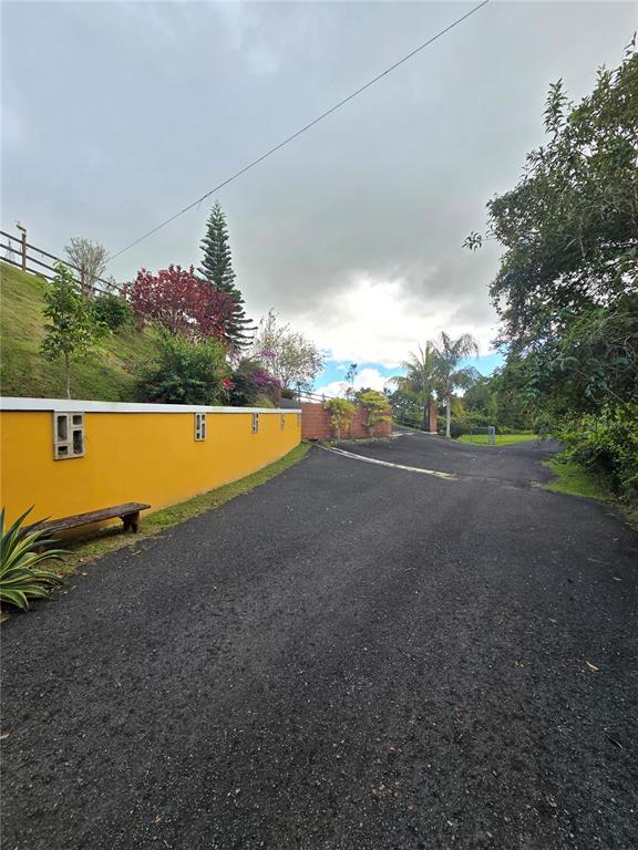 Bo Pulguillas, Carr. 723, Coamo - 6