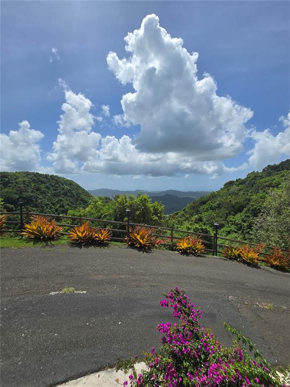 Bo Pulguillas, Carr. 723, Coamo - 7