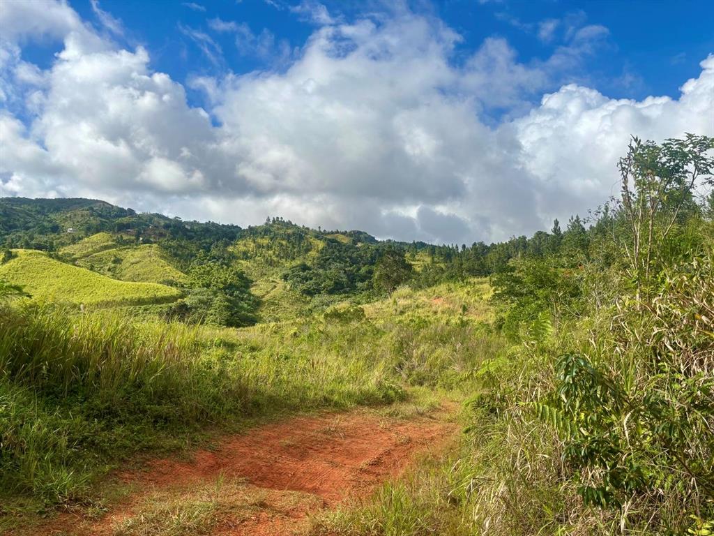 Carr 252 Km.hm 22.2, Orocovis - 2