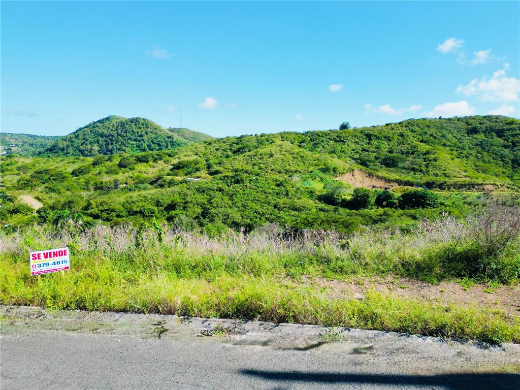 Urb.vistas Del Rodadero, Yauco - 5