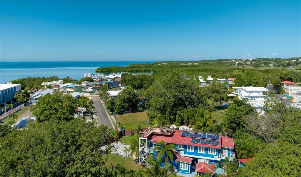 1/1a, Gil Bouyet, Cabo Rojo - 1