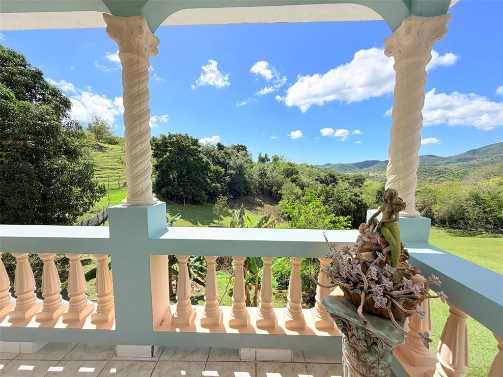 150, Santa Catalina, Coamo - 13