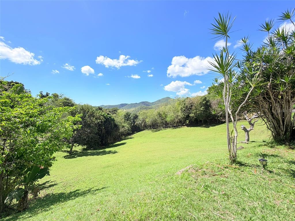 150, Santa Catalina, Coamo - 20