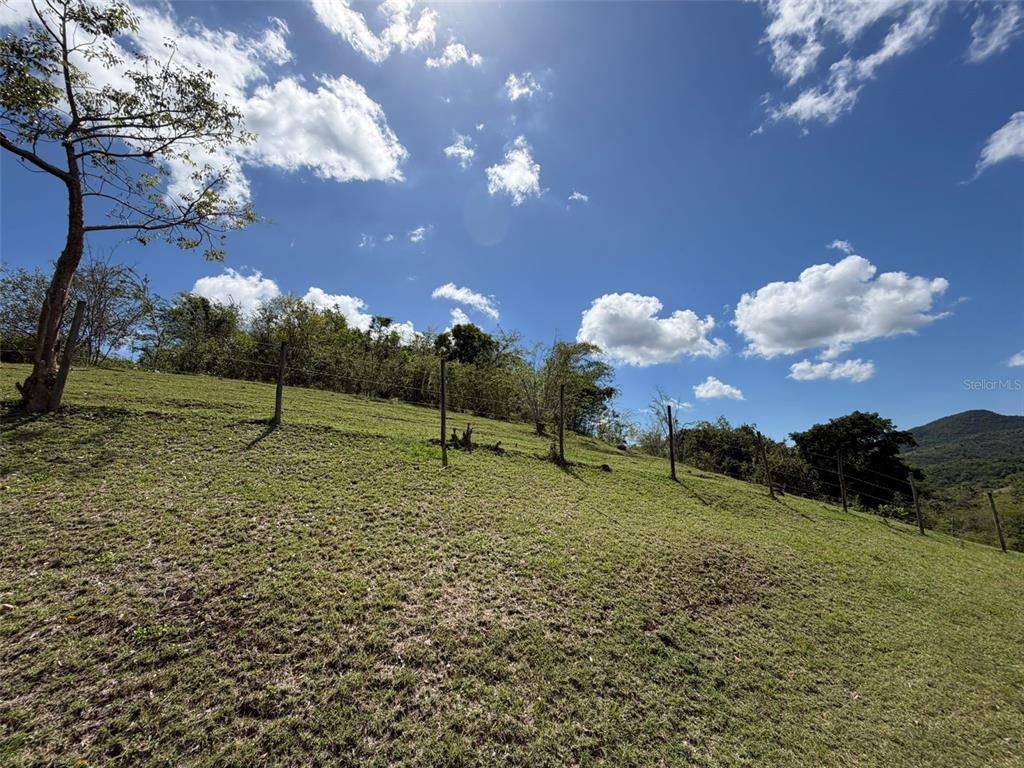 150, Santa Catalina, Coamo - 21