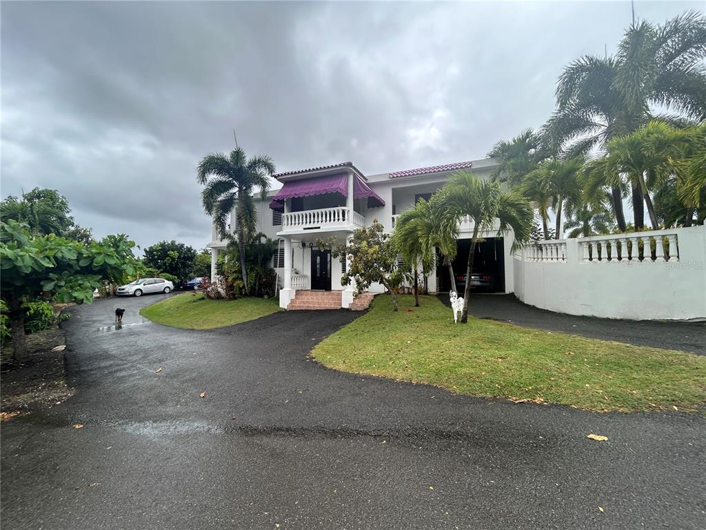 545, Sector Toro, Coamo - 1