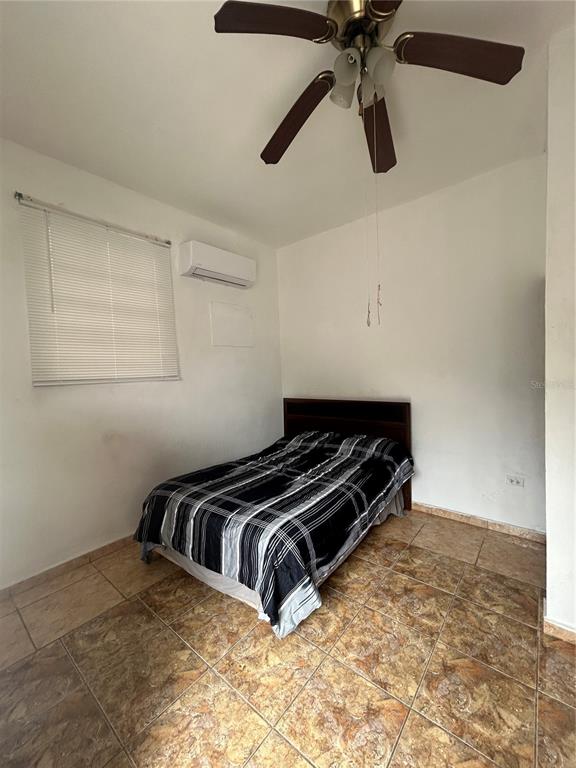 545, Sector Toro, Coamo - 10