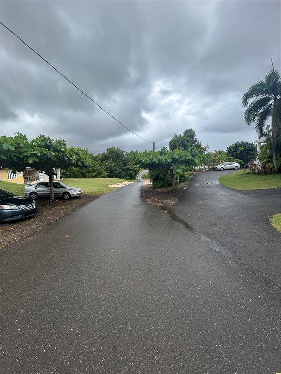 545, Sector Toro, Coamo - 13