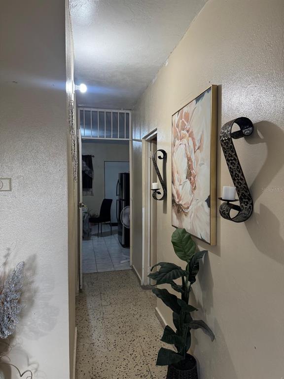 49, Vicente Pales, Guayama - 9