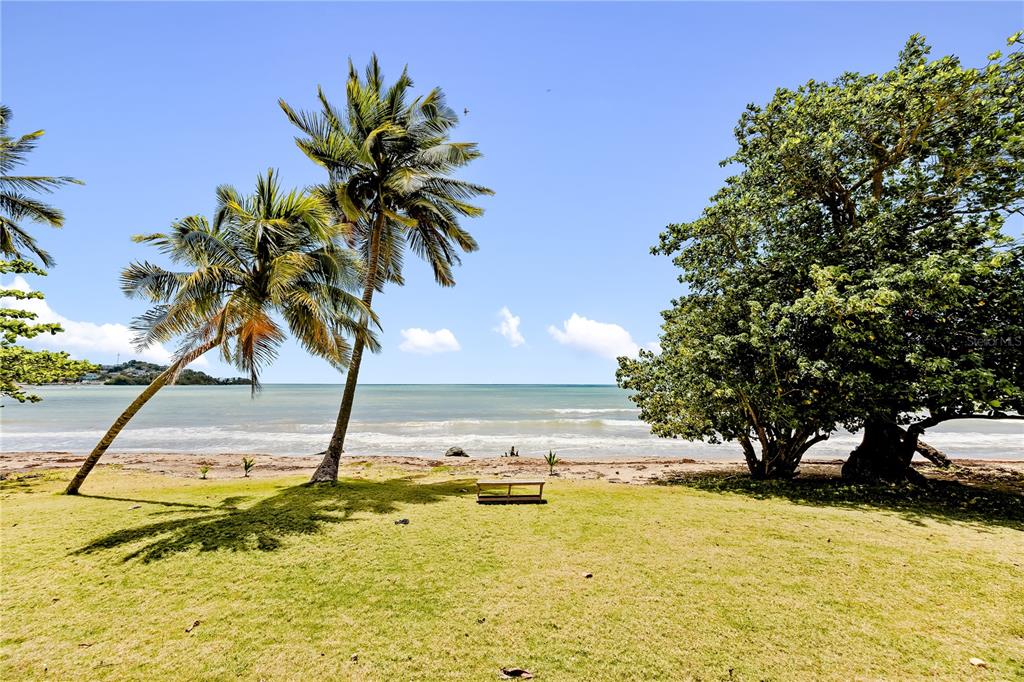 B-208, Cala De Hucares, Carr 3 Km 66.7, Naguabo - 33