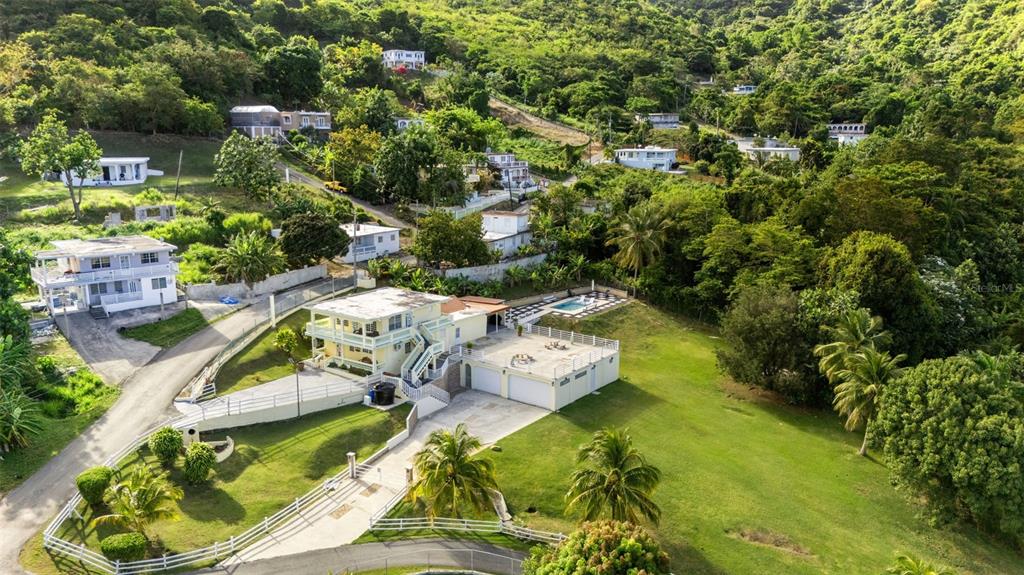 Carr 3, Camino Cooperativo, Patillas - 3