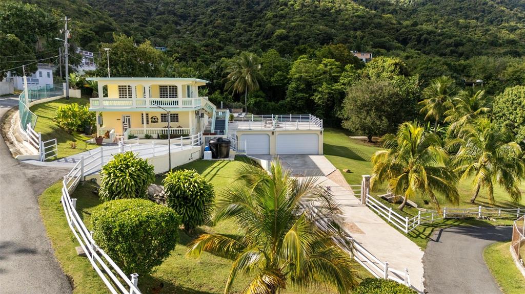 Carr 3, Camino Cooperativo, Patillas - 50