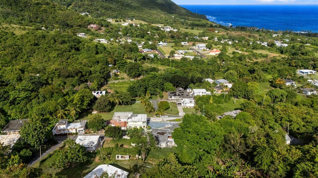 Carr 3, Camino Cooperativo, Patillas - 56