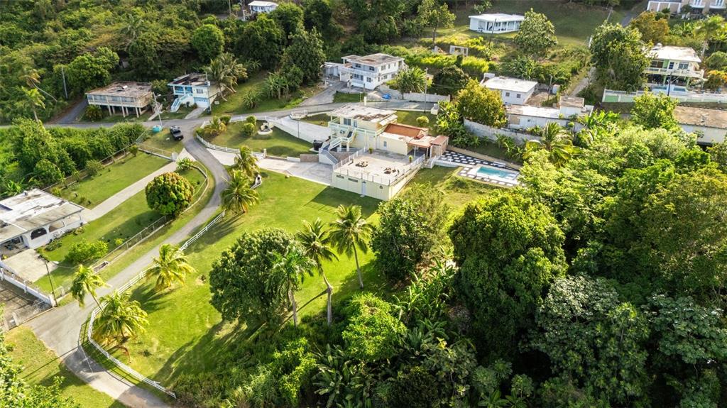 Carr 3, Camino Cooperativo, Patillas - 60