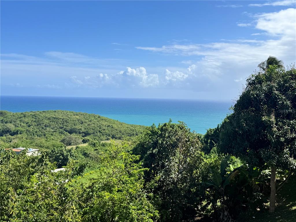 2, El Cocal Country Club, Bo. Camino Nuevo, Yabucoa - 16