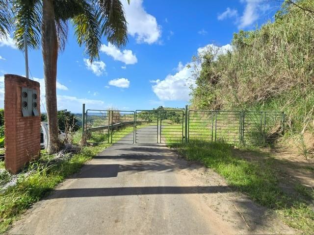 Pr-155 Km 34.0, Barrio Perchas, Morovis - 10