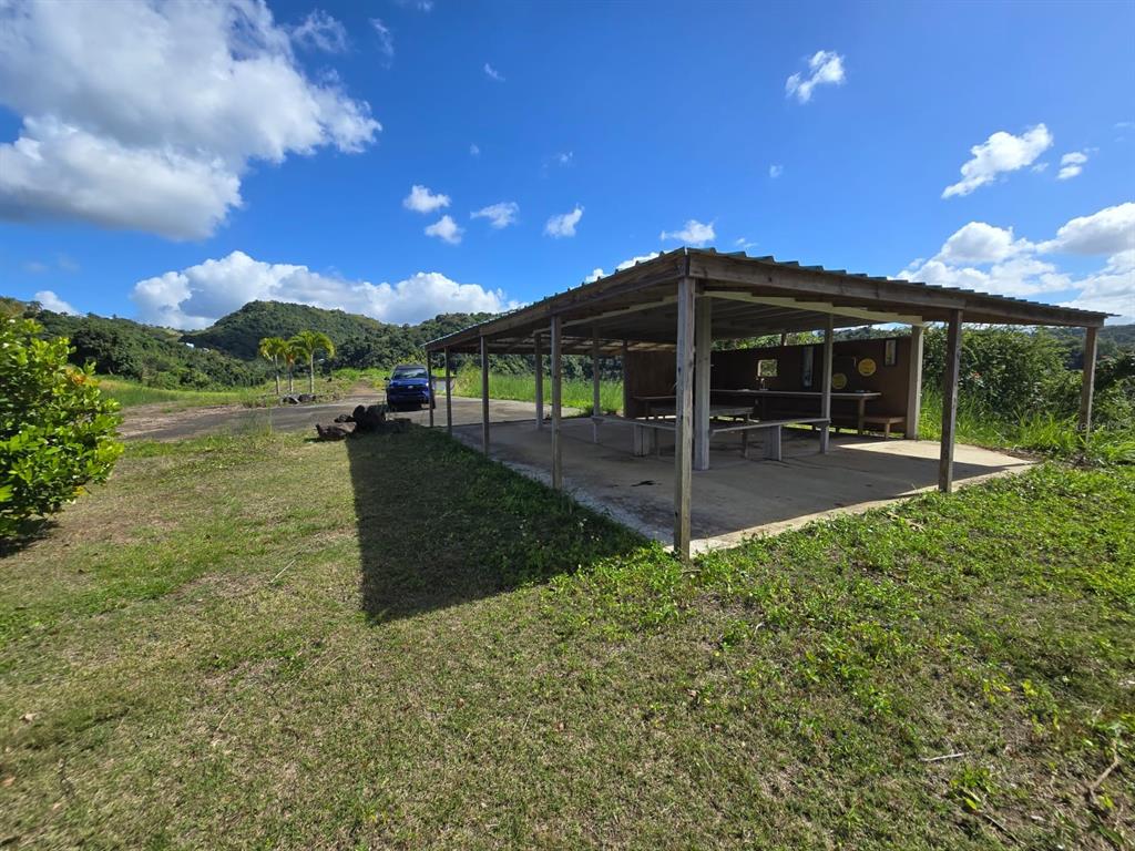 Pr-155 Km 34.0, Barrio Perchas, Morovis - 11