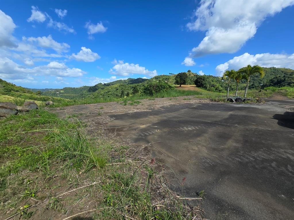 Pr-155 Km 34.0, Barrio Perchas, Morovis - 12