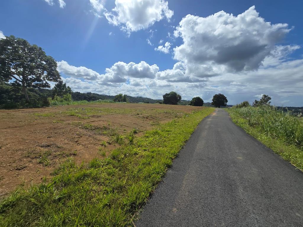 Pr-155 Km 34.0, Barrio Perchas, Morovis - 14