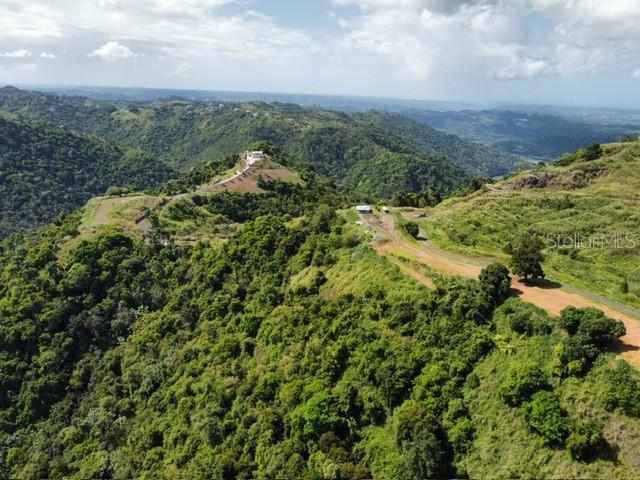 Pr-155 Km 34.0, Barrio Perchas, Morovis - 16