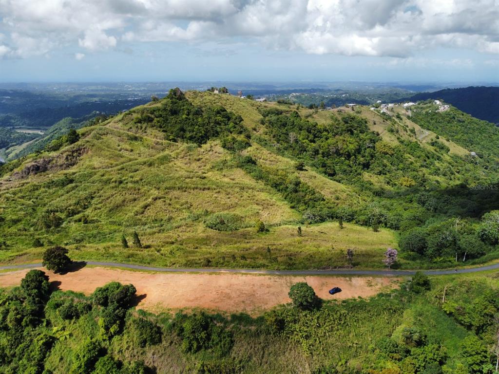 Pr-155 Km 34.0, Barrio Perchas, Morovis - 17