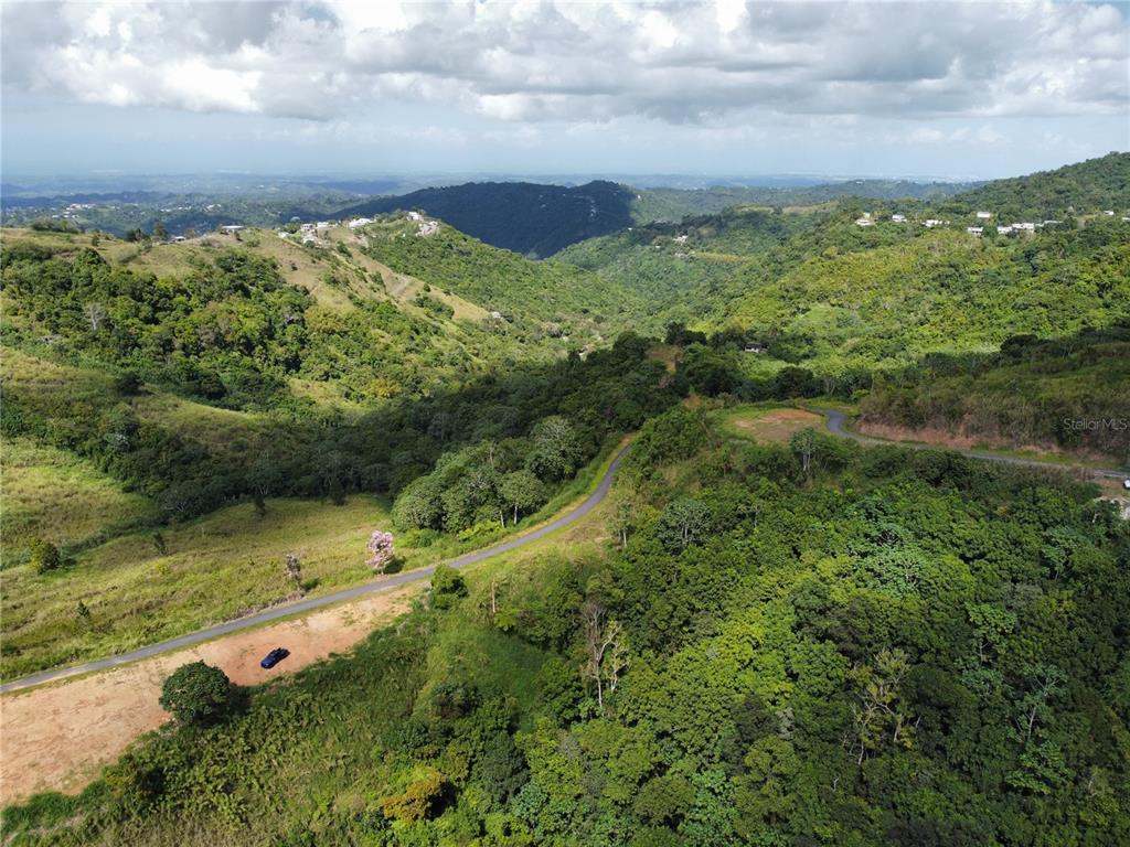 Pr-155 Km 34.0, Barrio Perchas, Morovis - 9