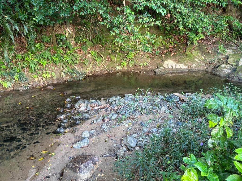 , Caguas - 22