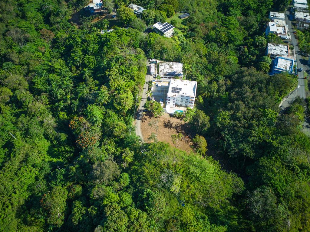 Carr. 115, Km 5.5 Int., Rincon - 13