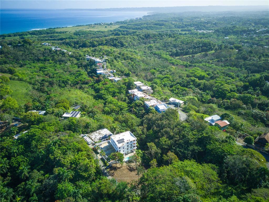 Carr. 115, Km 5.5 Int., Rincon - 14