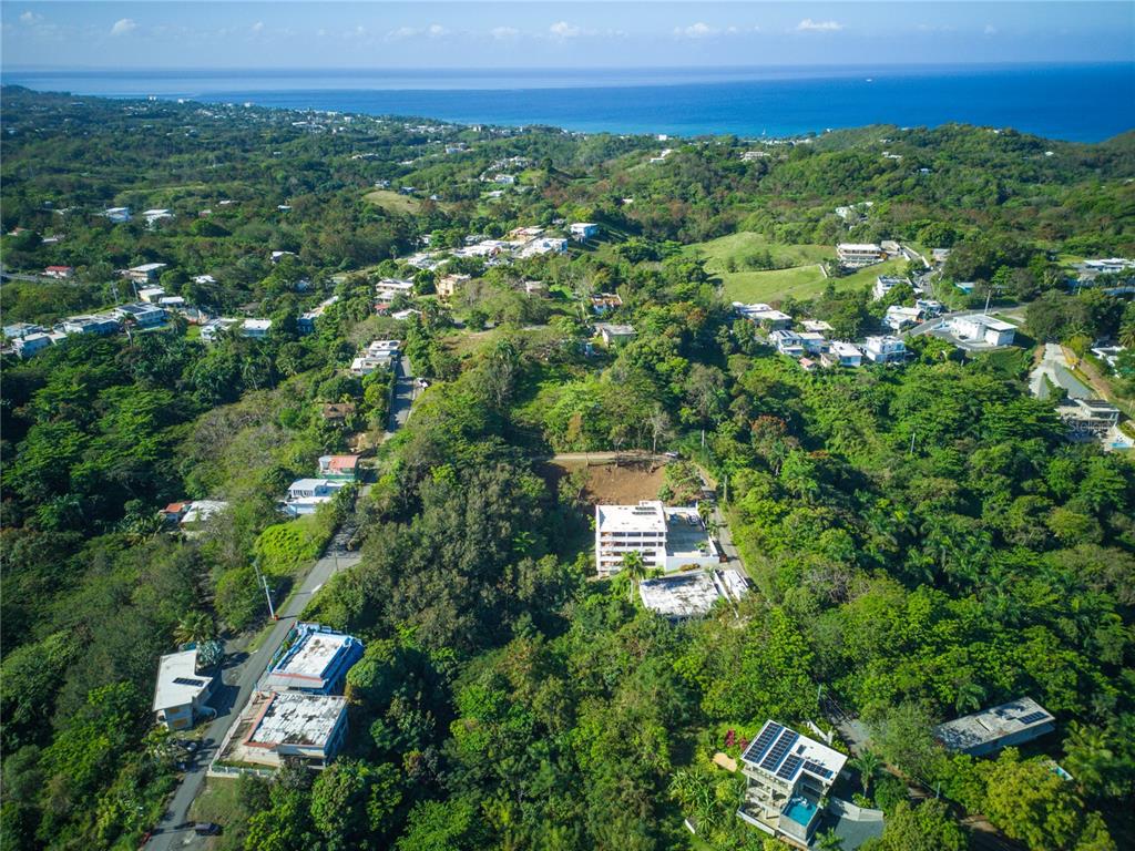 Carr. 115, Km 5.5 Int., Rincon - 8