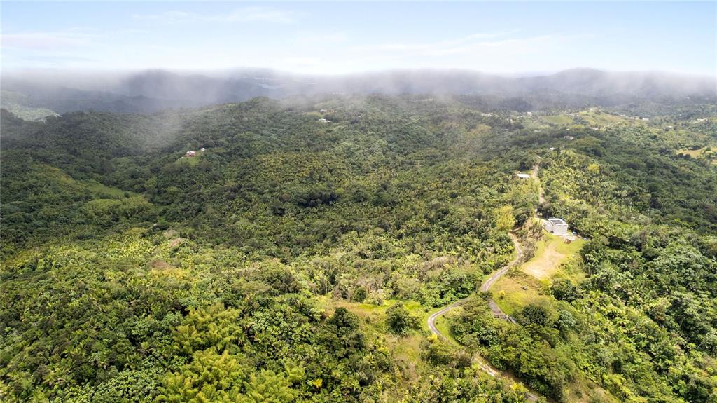 Km 14.7, Carr 179, Guayama - 3